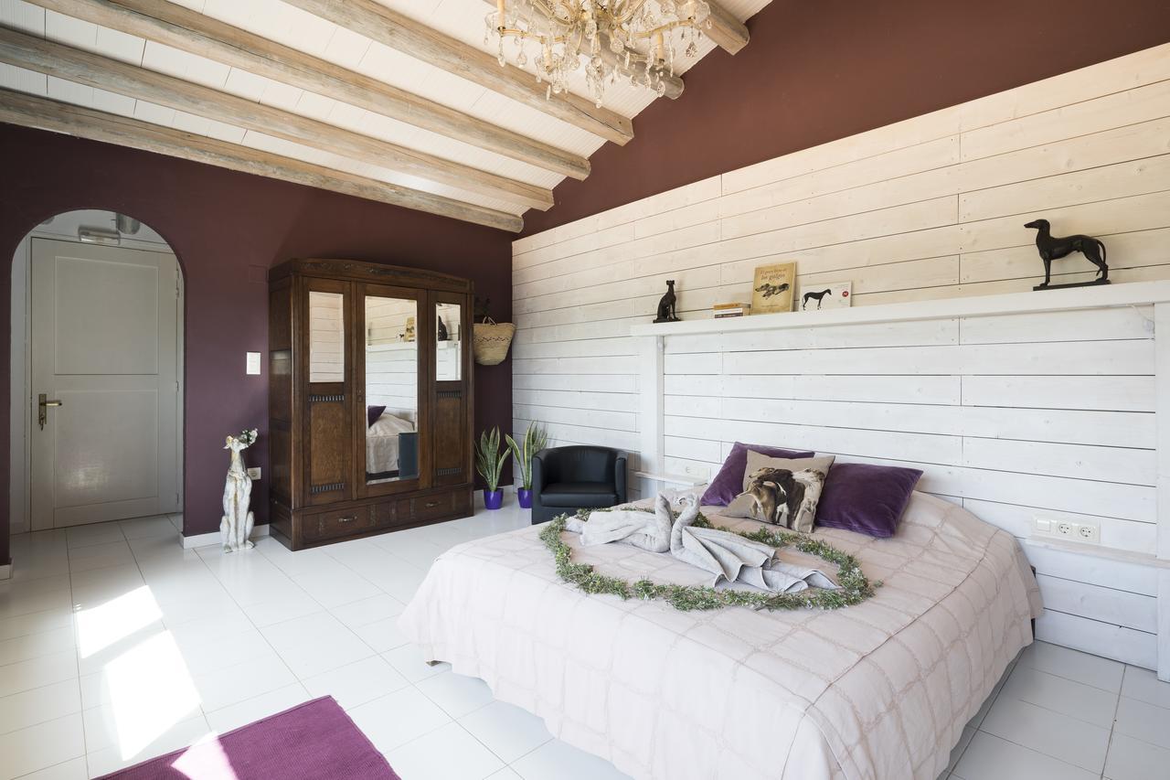 Can Patiras B&B Cistella Εξωτερικό φωτογραφία